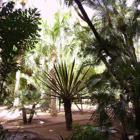Appart Avec Vue Jardin/Majorelle Marrakesh Exterior photo